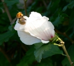 P1010404_2K