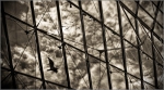 glass_lines_reflect_and_cloud2