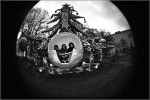in_the_boule