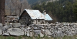 DSC07537