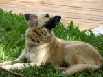 DSC08350