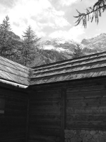 DSC10610