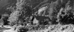 DSC10621