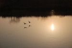 fleuve
