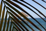 mayotte2