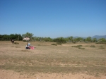 DSC03824
