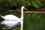 IMG_9175_DxO