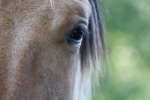 _MG_8851_DxO