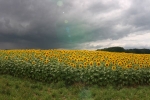 tourne-ciel