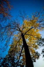 _MG_9617-3