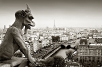 depuis-Dontre-Dame