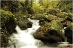 breche4