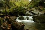 breche6