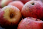 pommes2
