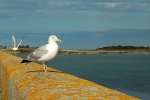 tatihou5097
