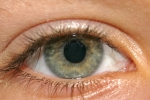 oeil