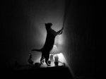 DSCN3775 [%P]