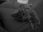 Oscar & Co 077 [%P]