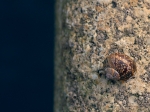DSC_0479_700