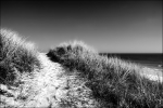 DSC_1951-7NB