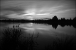 DSC_4567_700
