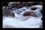 DSC_6782_680