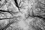 DSC_8243_700