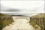 DSC_9495_Dxo