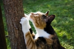 IMG_1634web