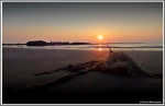 DSCF5389f