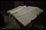 DSCN0372d
