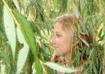 clemherbe