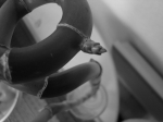 DSC00284