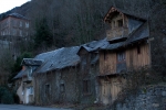 20090204-IMG_0385555