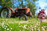 20090422-tracteurIMG_0777
