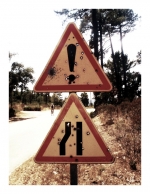 Corse
