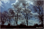automne