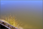 labege_1