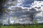 parcde50