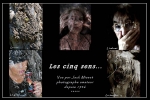 08122011-5sensmisset_0