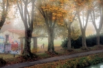 automne_3