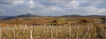 sancerre-pano