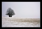 DSC_0027ago