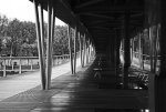 IMG_862999999