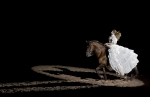 spectacleequestre