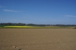 DSC08314-2