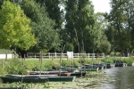 barques