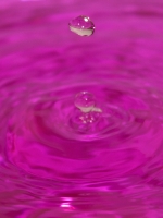 goutte 1