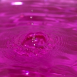goutte 42