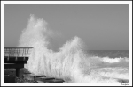 tempete 4 NB